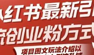 小红书最新引流创业粉方式，项目图文玩法介绍以及如何安全倒流私域-麦资源网