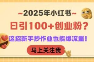 2025年小红书日引100+创业粉？这招新手抄作业也能爆流量！-麦资源网