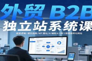 外贸B2B独立站系统课：底层逻辑/避坑指南/WP建站/AI辅助从0到1搭建高转化网站-麦资源网