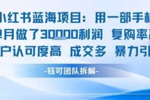小红书蓝海项目，一部手机单月做了3W利润，小白也能月入过1W用户认可度高成交多-麦资源网