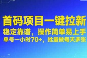首码项目一键拉新，稳定靠谱，操作简单易上手，单号一小时70+，批量做每天多张【揭秘】-麦资源网