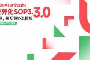 （15486期）商业IP打造全攻略：差异化SOP3.0流程，短视频协议模板，婚恋项目实战案例-麦资源网
