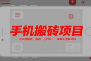 手机搬砖项目,有手就能做,亲测一小时几十,苹果安卓都可以-麦资源网