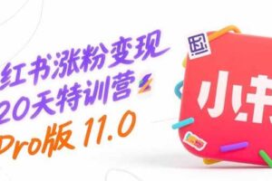 （15432期）小红书涨粉变现120天特训营Pro版11.0：从0到1掌握平台运营,内容制作和变现-麦资源网