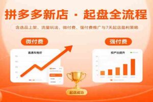 拼多多新店起盘全流程，含选品上架、流量玩法，微付费、强付费推广与7天起店盈利策略-麦资源网