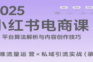 2025小红书电商课：解析算法，创作高转化内容，助力卖家获取流量实现变现（录音）-麦资源网