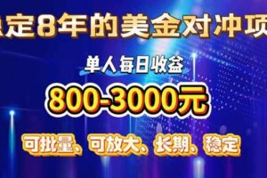 （15782期）稳定8年的美金对冲创业项目，单人每日收益800-3000，小众暴力项目-麦资源网