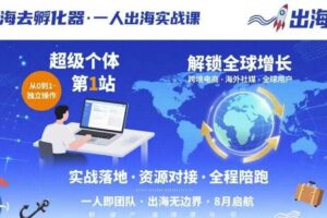 出海去孵化器,一人出海实战课,超级个体第1站,解锁全球增长-麦资源网