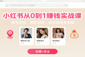 小红书从0到1赚钱实战课:账号定位、 爆款创作 、导流变现全攻略-麦资源网