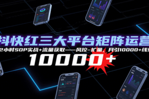 抖快红三大平台矩阵运营，12小时SOP实战+流量获取-风控-扩量，月引10000+线索-麦资源网