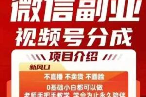 微信副业视频号分成，不直播 不卖货 不露脸，三五分钟即可完成一条作，每日收益几十、几张不等-麦资源网