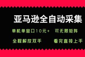 亚马逊全自动采集，单机单窗口一天10+，可无限矩阵去做【揭秘】-麦资源网