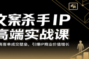 文案杀手IP高端实战课：破高客单成交壁垒，引爆IP商业价值增长-麦资源网