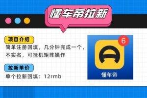 (15661期)懂车帝邪修拉新玩法,简单注册回填,不sm,单个拉新12rmb,轻松日入200+-麦资源网