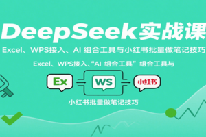 DeepSeek实战课：Excel、WPS接入、AI 组合工具与小红书批量做笔记技巧-麦资源网