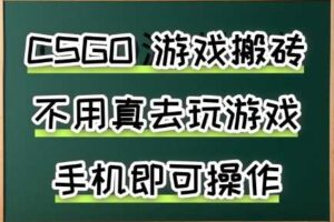 游戏搬砖，手机可做，不用电脑，最快当天见收益3张+，副业创业网创兼职【揭秘】-麦资源网