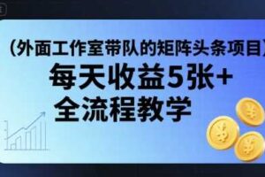 外面工作室带队的矩阵头条挂G项目，每天收益5张+，全流程教学【附全套工具】-麦资源网