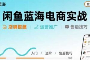 闲鱼蓝海电商实战，店铺搭建运营售后全流程-麦资源网