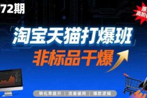 淘宝天猫打爆班原创高阶技术第72期，非标品干爆-麦资源网