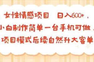 女性情感项目 小白制作简单一台手机可做 项目模式后续自然升大客单 日入6张-麦资源网