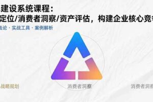 （15772期）品牌建设系统课程：战略定位/消费者洞察/资产评估，构建企业核心竞争力-麦资源网