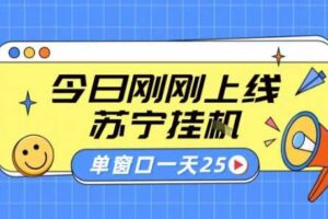 苏宁全自动采集挂G项目 稳定可批量 单窗口收益30+ 附教程【揭秘】-麦资源网