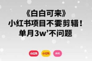 小白可来 小红书项目不需要剪辑 单月3w不是问题-麦资源网