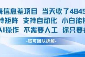 蓝海信息差项目当天收米1k+ 支持矩阵支持自动化小白能操作全程AI操作不需要人工你只要会电脑-麦资源网