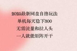 2025最新网盘自撸玩法,单机每天稳下3张,无需流量和拉人头,一个人就可轻松矩阵,全网独一份【揭秘】-麦资源网
