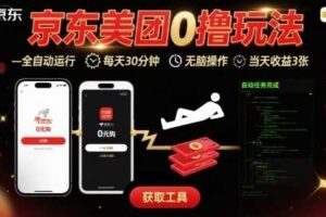 京东美团平台最新0撸玩法，全自动挂G，每天30分钟，无脑操作，当天收益3张【揭秘】-麦资源网