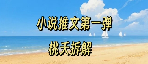 小说推文项目操作全流程*弹，0粉就能做，门槛低非常适合新手