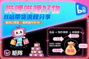 哔哩哔哩好物,B站带货流程分享,新风口项目,矩阵操作月1W-麦资源网