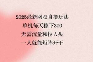 （15831期）2025最新网盘自撸玩法，单机每天稳下3张，无需流量和拉人头，一个人就…-麦资源网