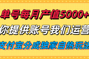 单月产值5000+,支付宝分成代运营,你提供账号坐等分钱,我们帮你运营-麦资源网