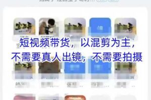 宝子哥头部团队短视频带货，以混剪为主，不需要真人出镜，不需要拍摄【更新8月】-麦资源网