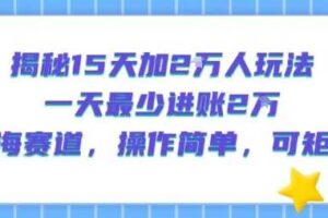 揭秘15天加2W人玩法,一天最少2万进账,蓝海赛道,操作简单,可矩阵-麦资源网