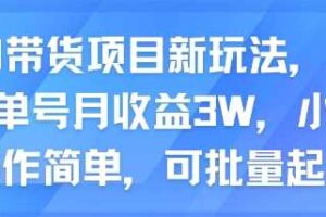 AI带货项目新玩法，实测单号月收益3W，小白操作简单，可批量起号-麦资源网