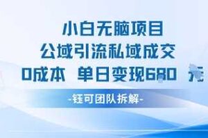 小白无脑项目公域引流私域成交0成本单日变现680米-麦资源网