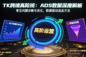 (15809期)TK跨境高阶班:ADS数据深度解析,常见问题诊断与优化,数据驱动选品方法-麦资源网