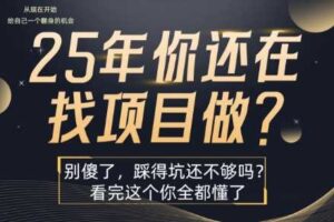 25年，你还在疯狂的找项目吗？别傻了，看完这个你都懂了【揭秘】-麦资源网
