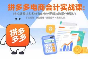 (15767期)拼多多电商会计实战课:轻松掌握拼多多特有的会计逻辑与数据分析能力-麦资源网