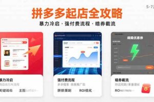 （15670期）拼多多起店全攻略，暴力冷启，强付费流程，暗券截流，5-7月已验证的方法-麦资源网