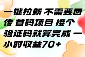 （15588期）一键拉新 不需要回传 首码项目 接个验证码就算完成 一小时收益70+-麦资源网