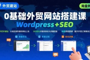 WordPress外贸建站+SEO优化课程,手把手教你从0到1搭建可获得询盘的外贸网站-麦资源网