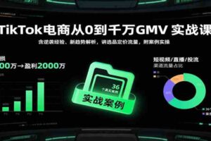 TikTok电商从0到千万GMV实战课，含逆袭经验、新趋势解析，讲选品定价流量，附案例实操-麦资源网