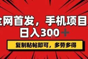 手机项目，日入3张+，复制黏贴即可，可矩阵操作，动手不动脑【揭秘】-麦资源网