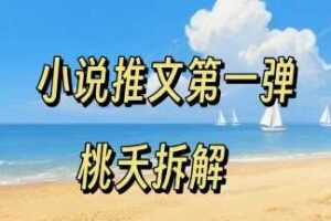 小说推文项目操作全流程第一弹，0粉就能做，门槛低非常适合新手-麦资源网