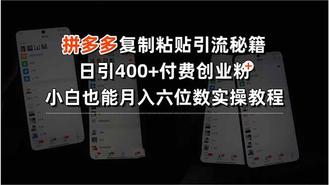 图片[1]-（15613期）拼多多复制粘贴引流秘籍，日引400+付费创业粉，小白也能月入六位数实操…