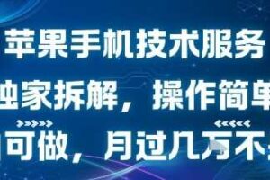 苹果手机技术服务，独家拆解，操作简单，小白可做，月过1W不是梦-麦资源网
