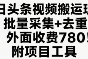 今日头条视频搬运玩法，软件一键去重，轻松日入500+附项目工具-麦资源网